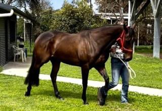 Lot 92
