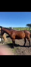 Lot 95